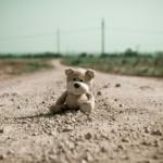 Not all adversity is equal: bullying, maltreatment, and persistent psychotic-like experiences